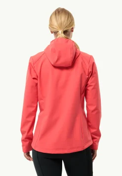 Jack Wolfskin Randonnée|Lifestyle-Bornberg Hoody W