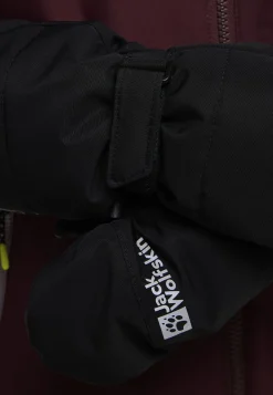 Jack Wolfskin Gants|Vestes De Pluie-2l Winter Mitten K black
