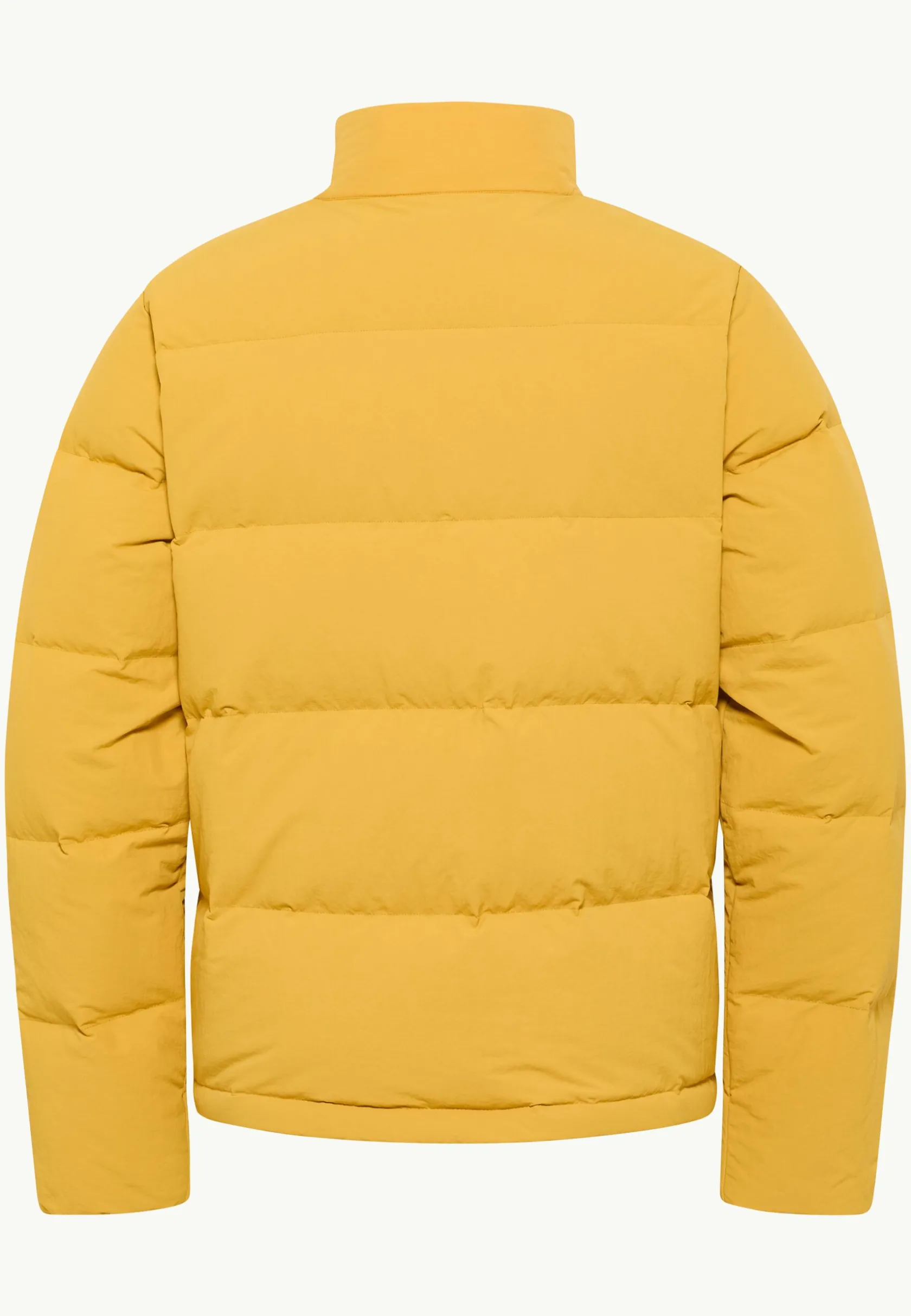 Jack Wolfskin Vestes Intermédiaires|Vestes D'Hiver-Nordlicht Jkt M Rds