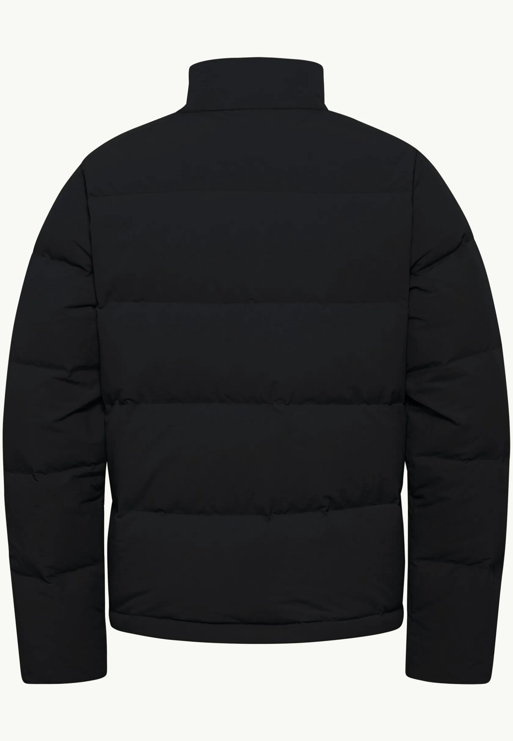 Jack Wolfskin Vestes Intermédiaires|Vestes D'Hiver-Nordlicht Jkt M Rds