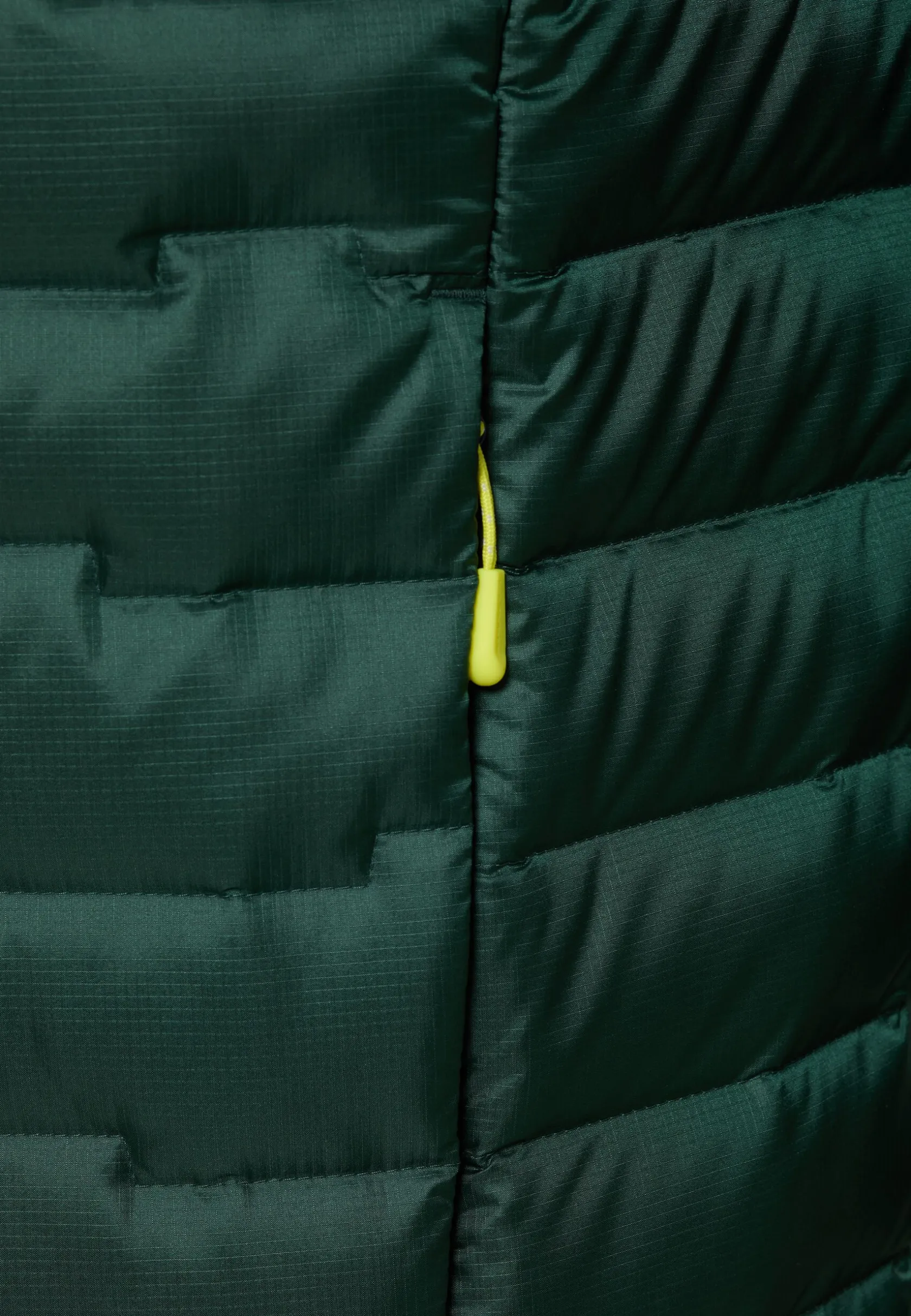 Jack Wolfskin Vestes D'Hiver|Vestes Isolantes-Passamani Down Jkt M Rds
