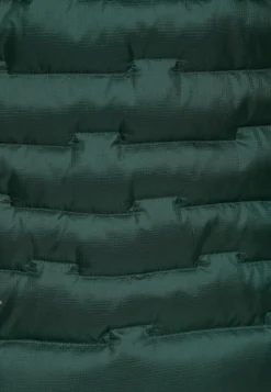 Jack Wolfskin Vestes D'Hiver|Vestes Isolantes-Passamani Down Jkt M Rds