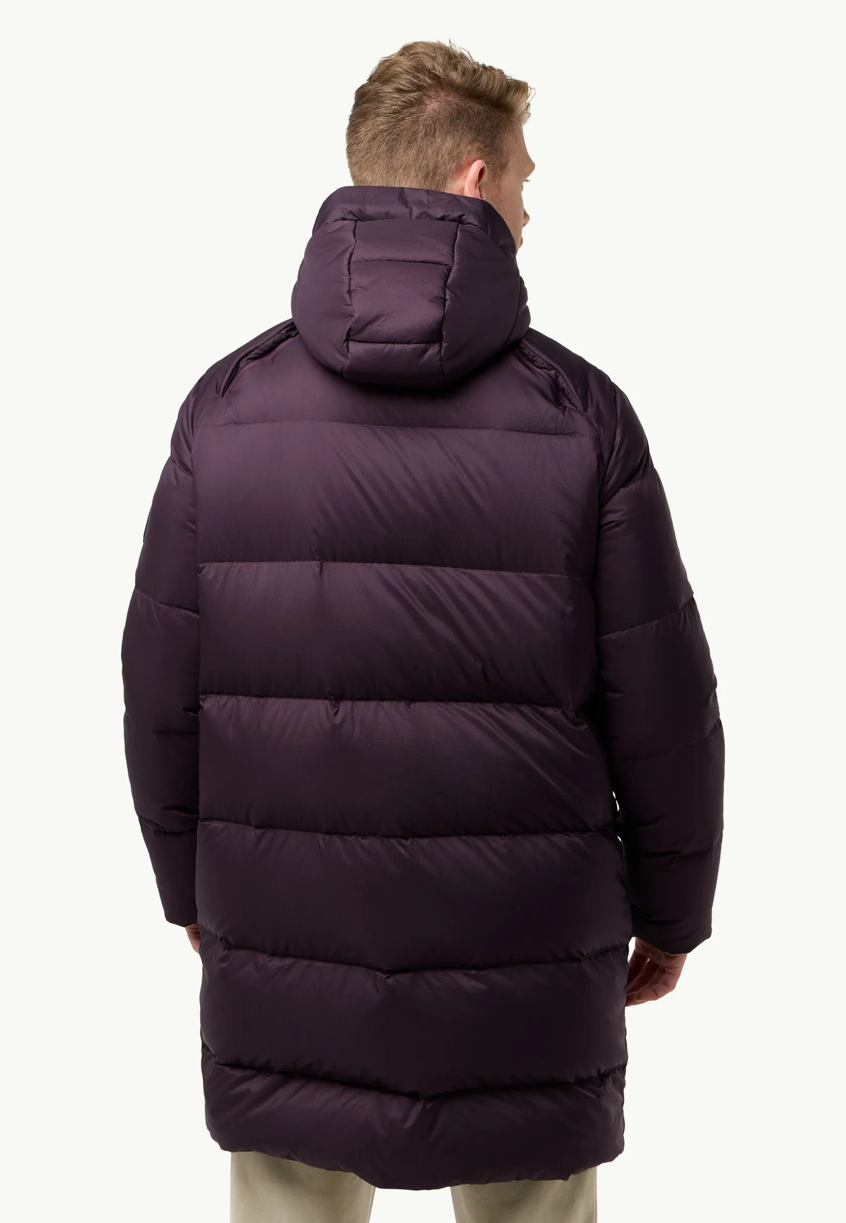 Jack Wolfskin Vestes Intermédiaires|Vestes D'Hiver-Wandermood Down Parka M Rds