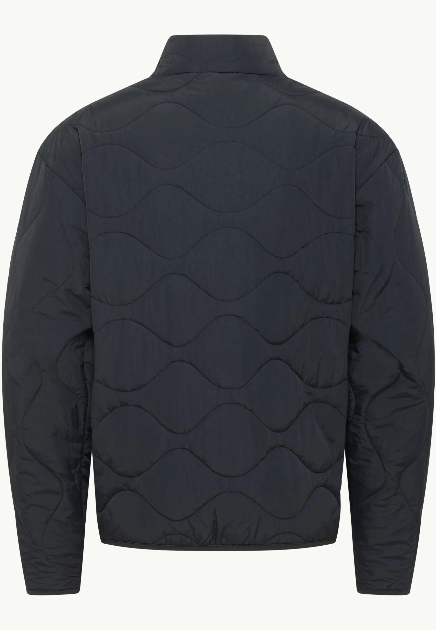 Jack Wolfskin Vestes Intermédiaires|Vestes D'Hiver-Wandersome Ins Jkt M
